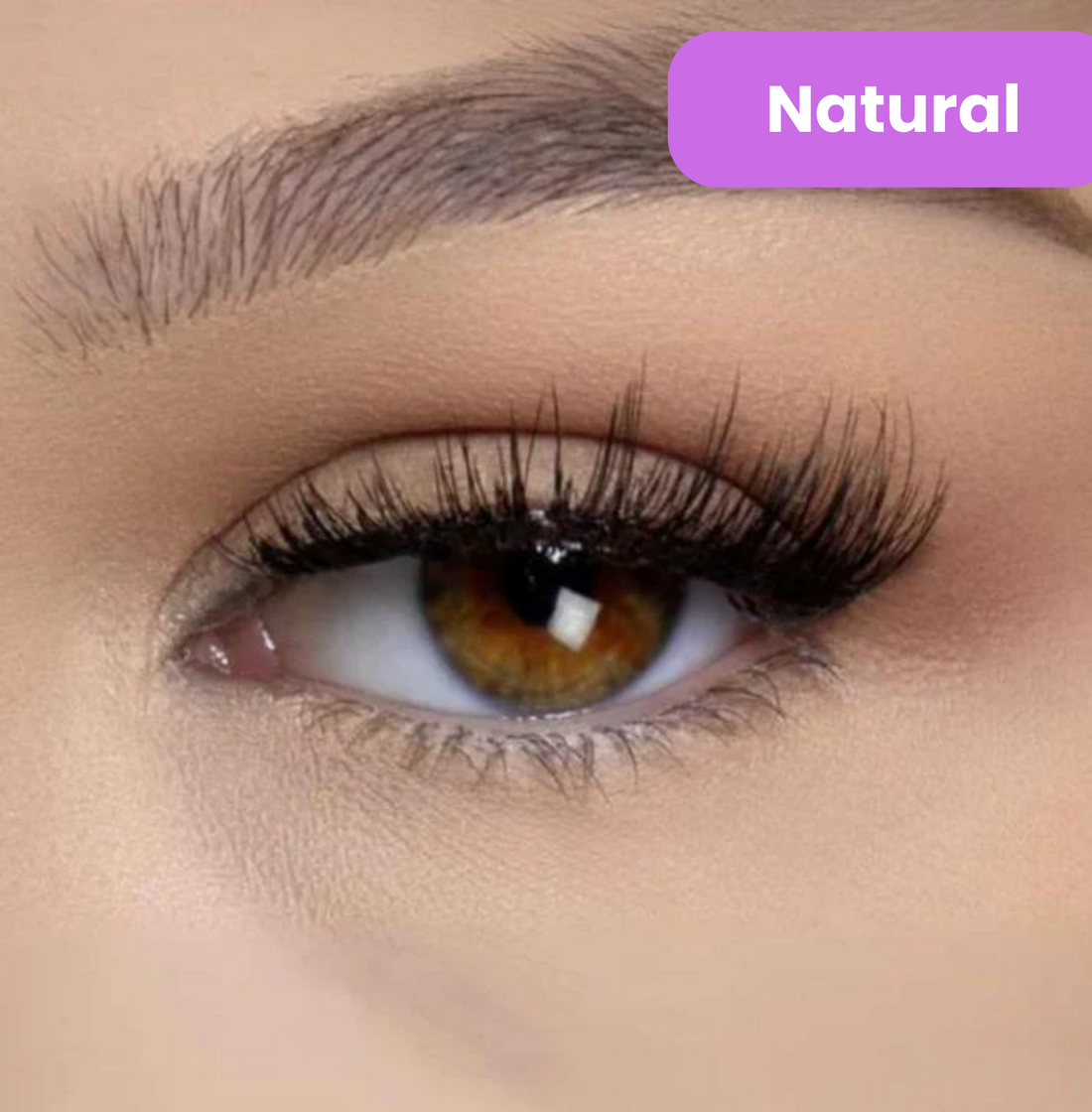 Snap-On Magnetic Lashes